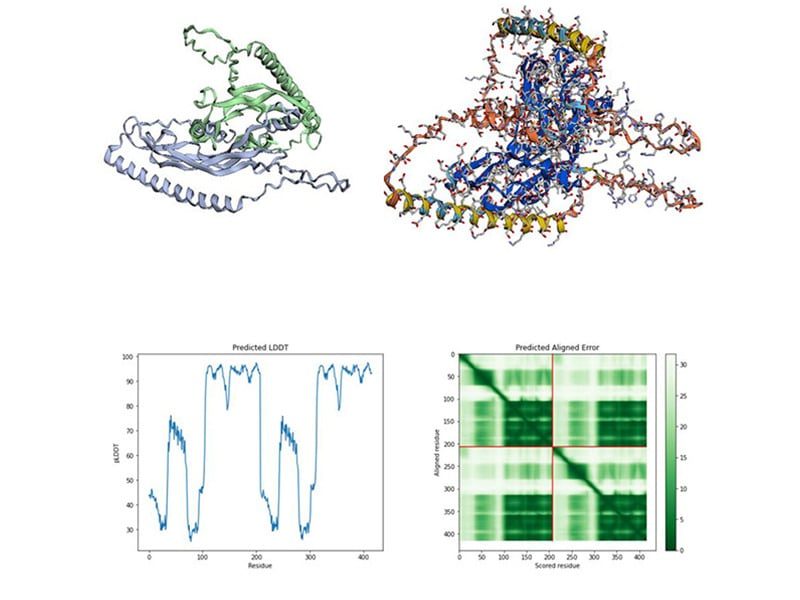 Image reprsenting molecule and prediction